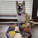 위닝푸드 이미지