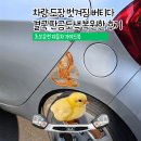 넘버원카케어 | 차량 도장 벗겨짐 붓펜 스티커로 버티다 결국 판금도색 복원한 후기