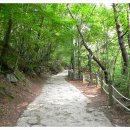 광치자연휴양림 이미지