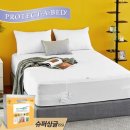 프로텍트