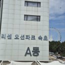 해오름로L | 속초숙소 추천 l 에어비앤비 리센오션파크 오션뷰 후기