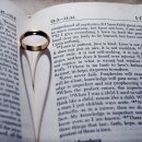 달빛연가 이미지