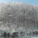 산속에관광농원 이미지