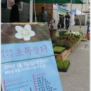 초록장터