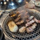 돼지모양 화장실 이미지