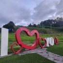 둔내정비 | 아쉬움이 남는 현대홈쇼핑 웰리힐리파크 패키지상품 구매 후기