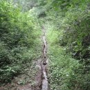 송전2리 | 굴암교-삼봉산-시궁산-자비정사(용인)