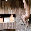 무월마을 이미지