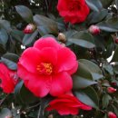 연지공원1 이미지