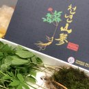 유통연구소