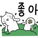 돈애우