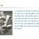 엔에스피 이미지