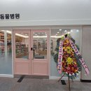 쿨펫 이미지