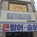 오늘은오징어