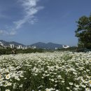 더레드하우스 | 12차 속초양양 - 언덕위에바다, 카시아속초 키즈카페, 설악항활어회센터 18호, 도평커피, 자연촌, 델...