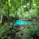 MUNG MOO | [태국 끄라비] 3박 4일 일정 파난리조트 / 랜드마크 야시장 / 정글투어 / 피피섬투어