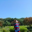 매봉힐링쉼터오토캠핑장 이미지