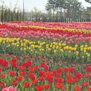 오성식품 - 고양시 덕양구 서오릉로 479-1 | 평택 청년농부마켓 후기｜전통주 막걸리 시음 가능한 곳 (오성 가볼만한곳)