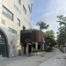 녹십자의원 | 녹십자아이메드 서울숲의원 건강검진 후기｜부모님 종합검진 (대장내시경 약 변경 팁)