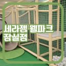 (주)세라젬 잠실점 | 14개월 아기랑 롯데월드 세라젬 웰파크 잠실점 투어 후기 주차 가격 정보