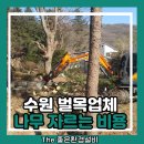 136 | 수원 벌목업체 나무 자르는 비용