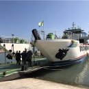 완도7호 이미지