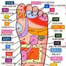 서정중학교 이미지