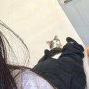 고양이병원 소설 | 고양이 엄마는 두문불출