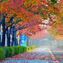 금정체육공원 이미지