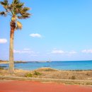 성산구 ⓒ-29 | 제주도 일주일살기 숙소 추천 제주 동쪽 펜션 미스터멘션 겨울 제주 여행