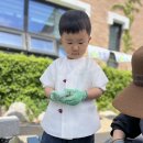 전통문화의 날 - 소만 활동 ❤️ -허브 심기 이미지