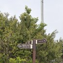 (주)파란고래 | 울산 가볼만한곳 슬도 유채꽃 실시간 개화현황, 주차 및 꿀팁 총정리