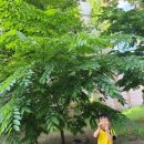 송천초교병설유치원 이미지