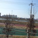 신용초교 이미지