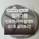 주식회사 레인보우일팔칠이 | 컬러그램 틴토리 아이 팔레트 01호 글리토리 기획세트 내돈내산 후기 (+색상, 발색사진 有)