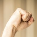 스타반려견 교육센터 이미지