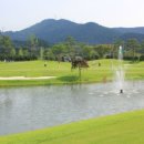 석정힐CC 이미지