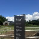 동기목장 | 제주 여행 - SNS 포토 스팟 [대한목장] 홀리랜드, 말 먹이주기 체험, 대나무밭, 주차, 제주도 목장 추천