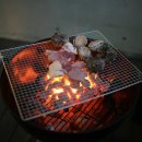 오고가고펜션 Daum카페