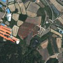 컨설팅월드공인중개사이수희사무소 이미지