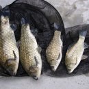 고초골낚시터 이미지