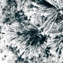 밝은달한의원 이미지