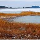 화진포둘레길(죽정리) 이미지