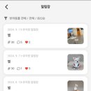 놀러오개 애견유치원 애견호텔 안양점 이미지