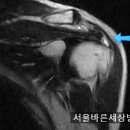 제이본정형외과의원 이미지