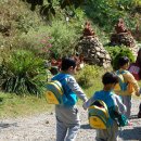 서촌초교 병설유치원 이미지