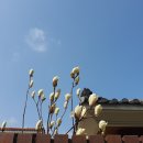 마중공인중개사사무소 이미지