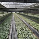 열음농장 이미지