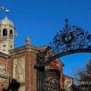 하버드