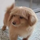 오션시티동물병원 이미지